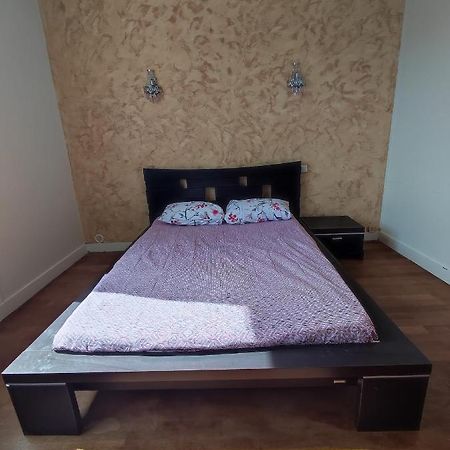 Agreable Appartement Familial Avec Jardin ブロワ エクステリア 写真